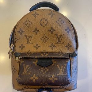LV mini reverse palm spring backpack+LV passport W